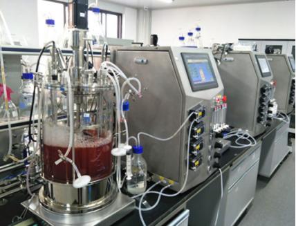 Peristaltic Pumps in Food Processing