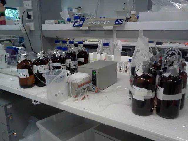 Application Scenarios of Peristaltic Pumps in University Laboratories