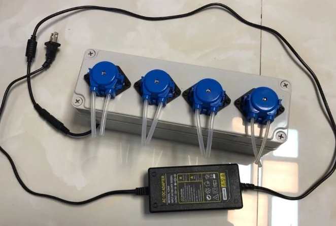 Aquarium using peristaltic pump