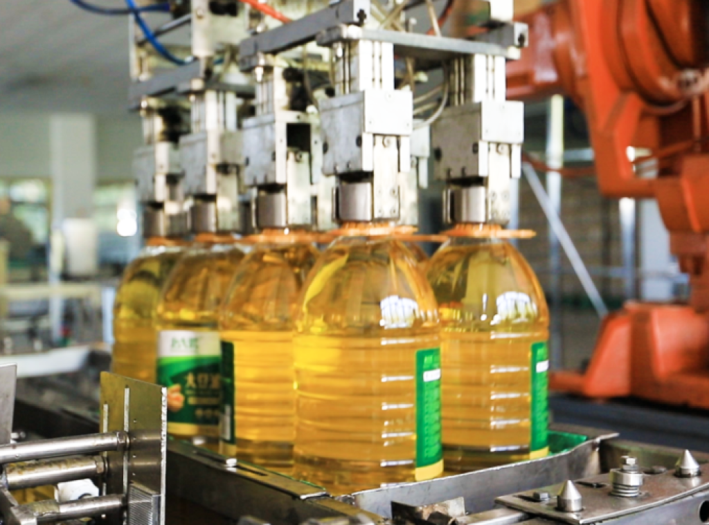 choose edible oil pump