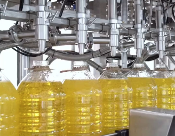 edible oil pump