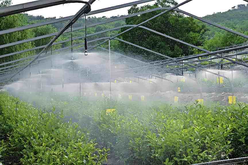 Peristaltic Pumps for Fertilizer Dosing in Smart Agriculture