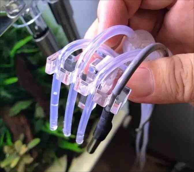 Maintenance of Your Mini Peristaltic Pump