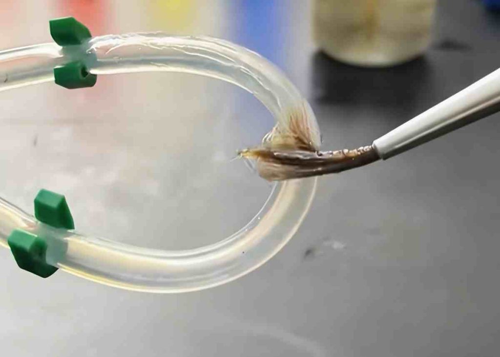 cleaning method